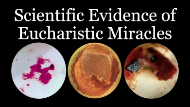 Scientific Evidence of Eucharistic Miracles